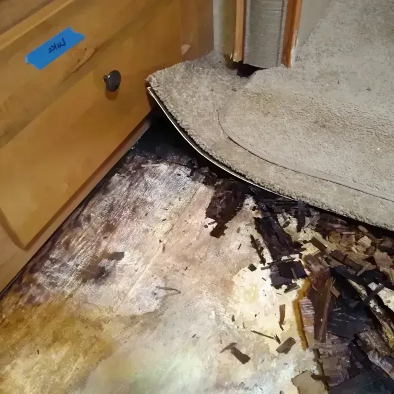 Best Wood Floor Water Damage Service in Port Huron, MI